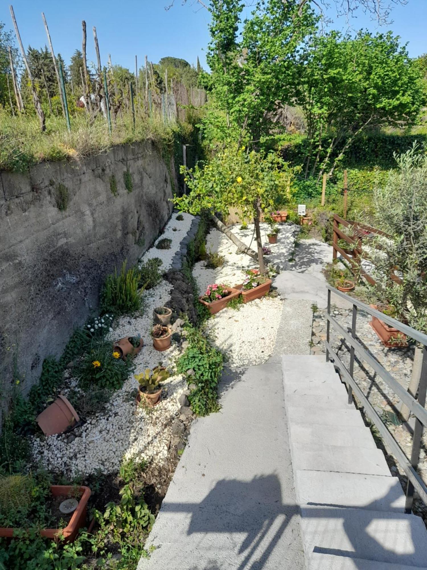 Sikelia Etna House Villa Zafferana Etnea Buitenkant foto